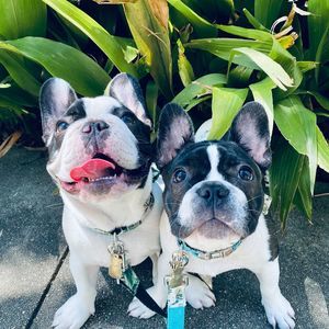 Meet your Posher, Hermès